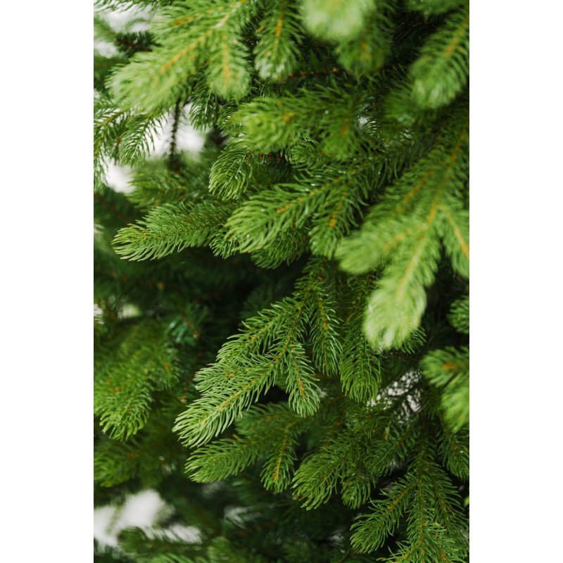 Albero di Natale Lagorai con chioma ampia e rami irregolari effetto pino – foto 8