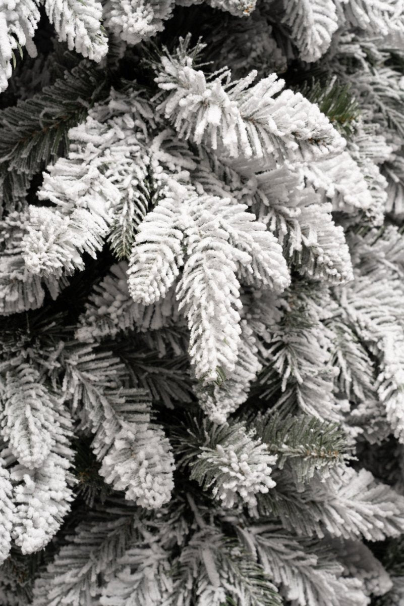 Albero di Natale Misurina innevato con rami abbassati – foto 5