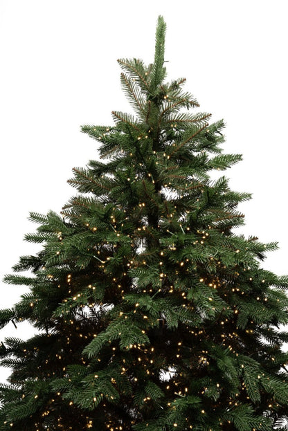 Albero di Natale Regolo con LED integrati accesi e vaso quadrato – foto 4