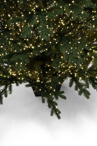 Albero di Natale Regolo con LED integrati accesi e vaso quadrato – foto 5