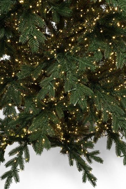 Albero di Natale Regolo con LED integrati accesi e vaso quadrato – foto 6