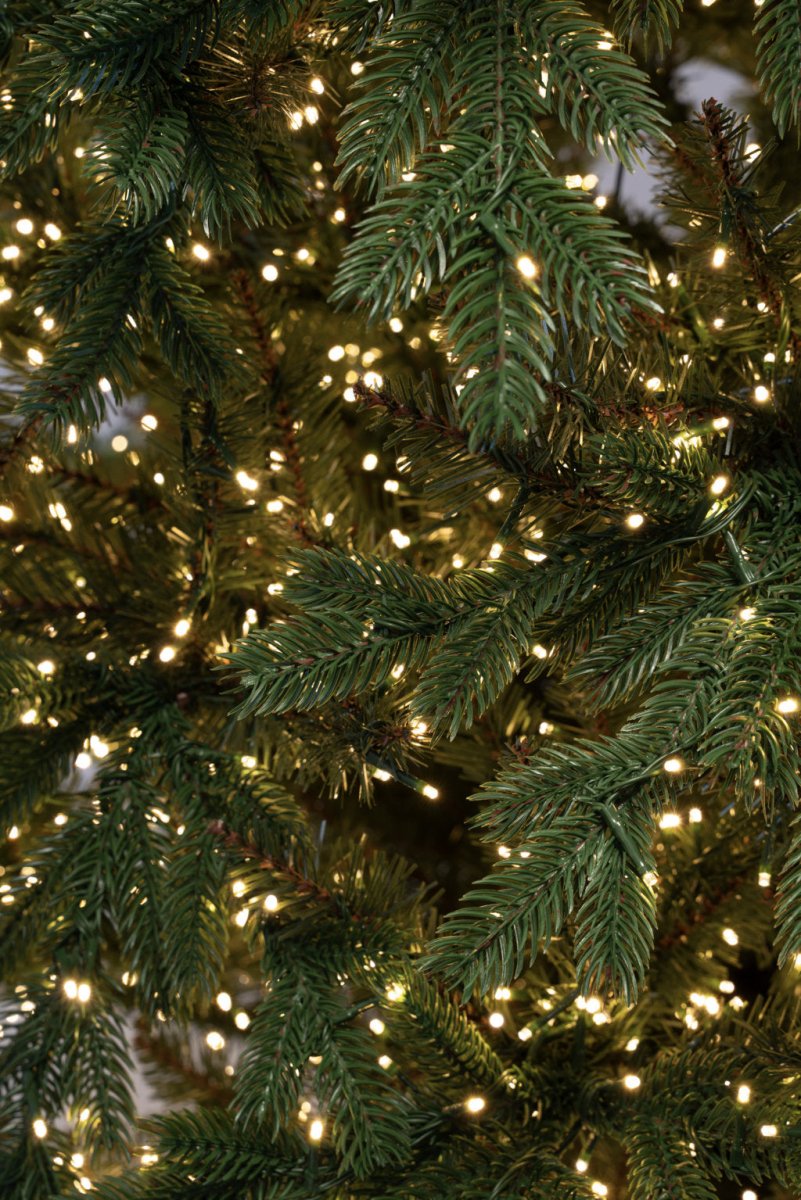 Albero di Natale Regolo con LED integrati accesi e vaso quadrato – foto 7