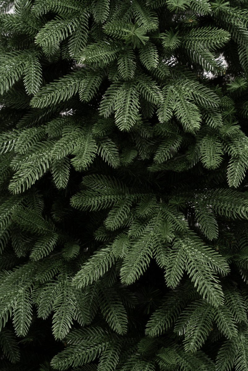Albero di Natale Casentino verde con chioma ampia e rami realistici in PE e PVC – foto 6