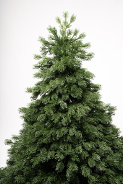 Albero di Natale Majella con chioma extra folta in PE e PVC – foto 3