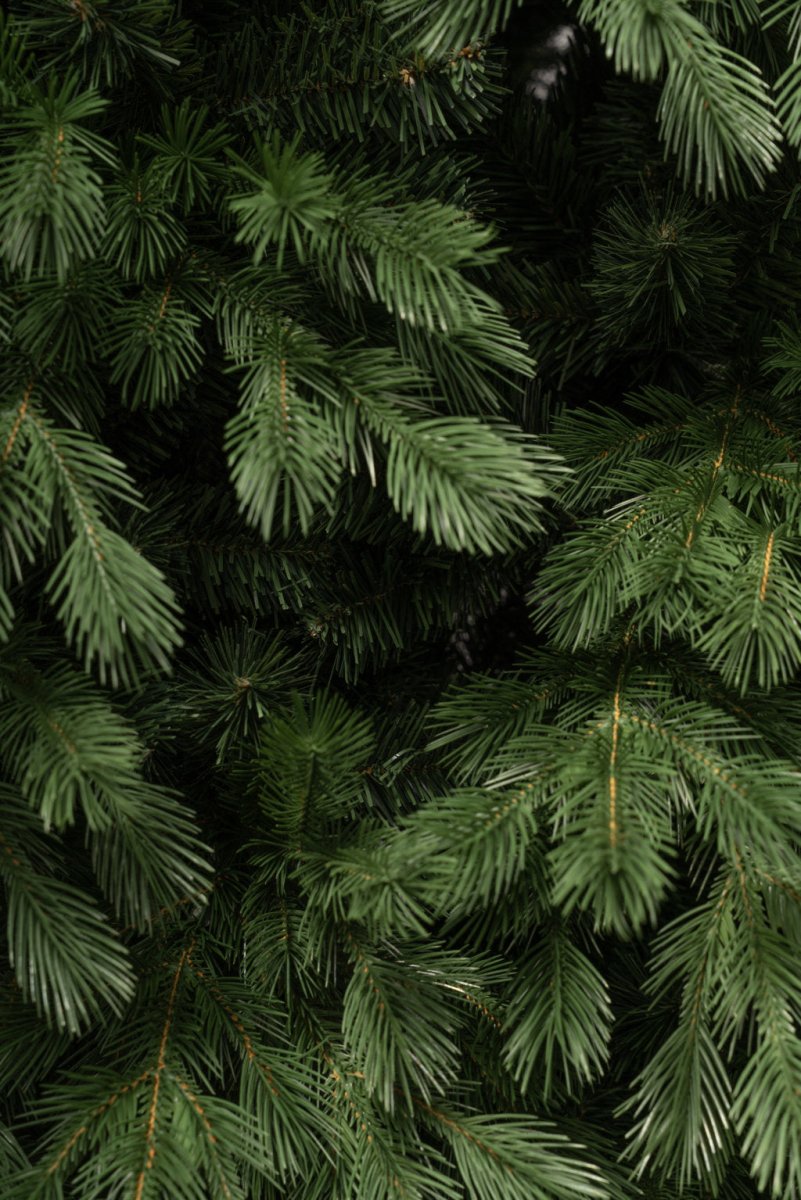 Albero di Natale Majella con chioma extra folta in PE e PVC – foto 7