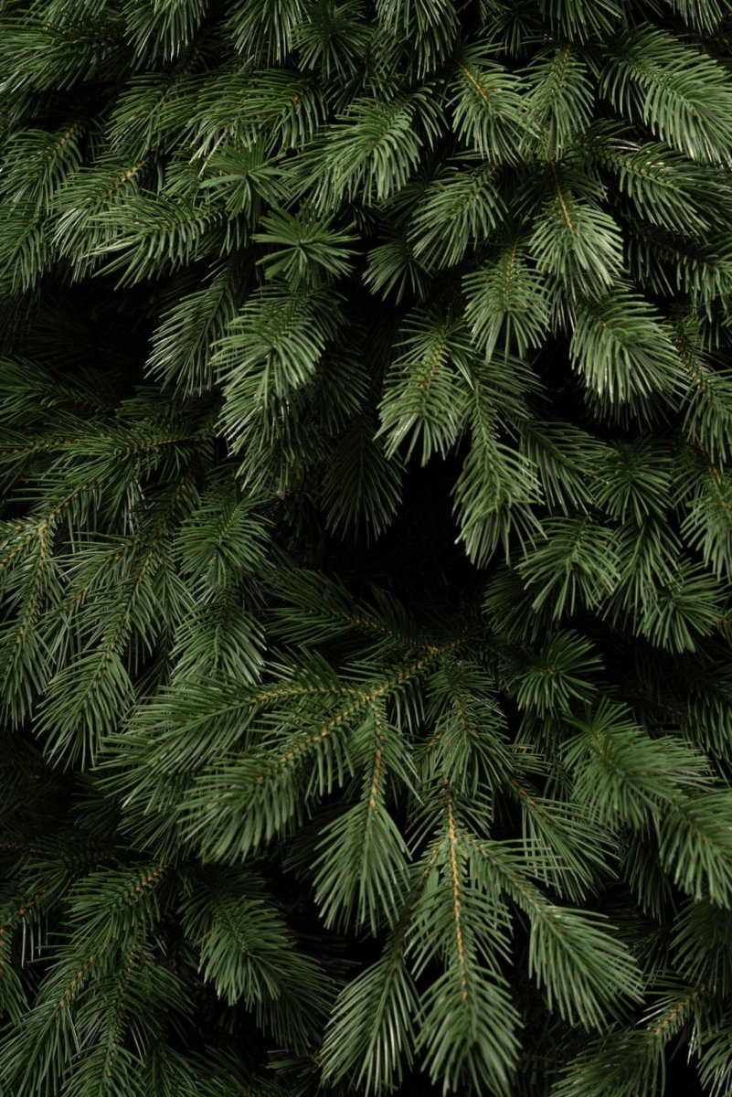Albero di Natale Majella con chioma extra folta in PE e PVC – foto 8