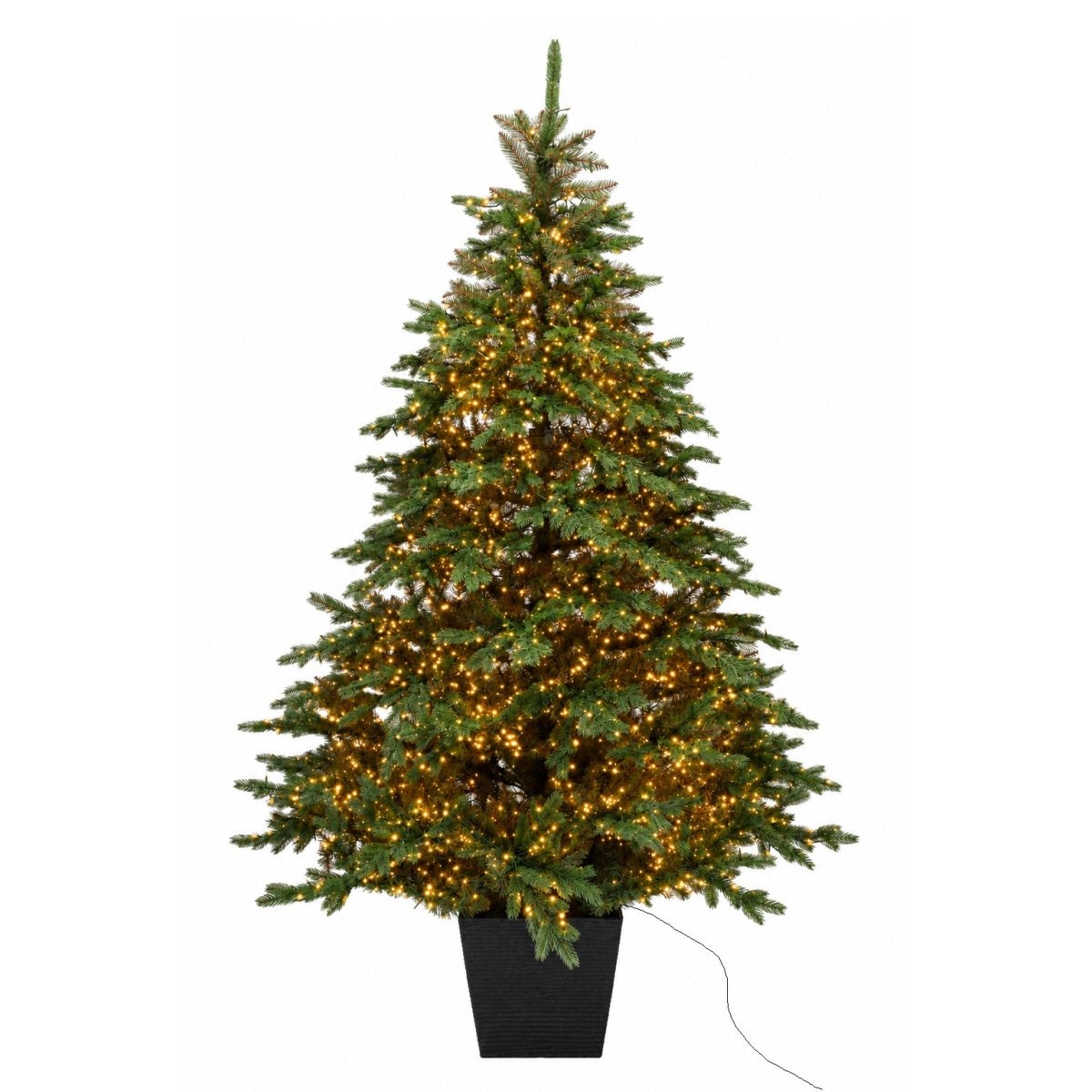 Albero di Natale Regolo con LED integrati accesi e vaso quadrato