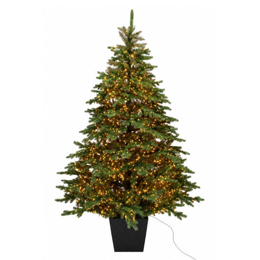 Albero di Natale Regolo con LED integrati accesi e vaso quadrato