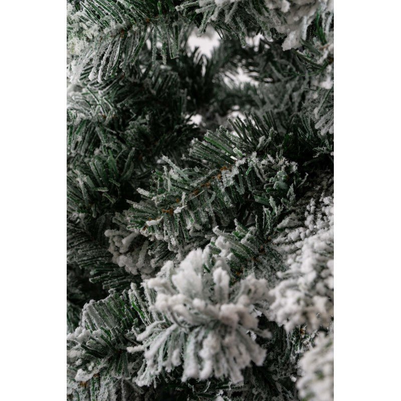 Albero di Natale innevato Alaska Xone con neve distribuita su tutti i rami – foto 6