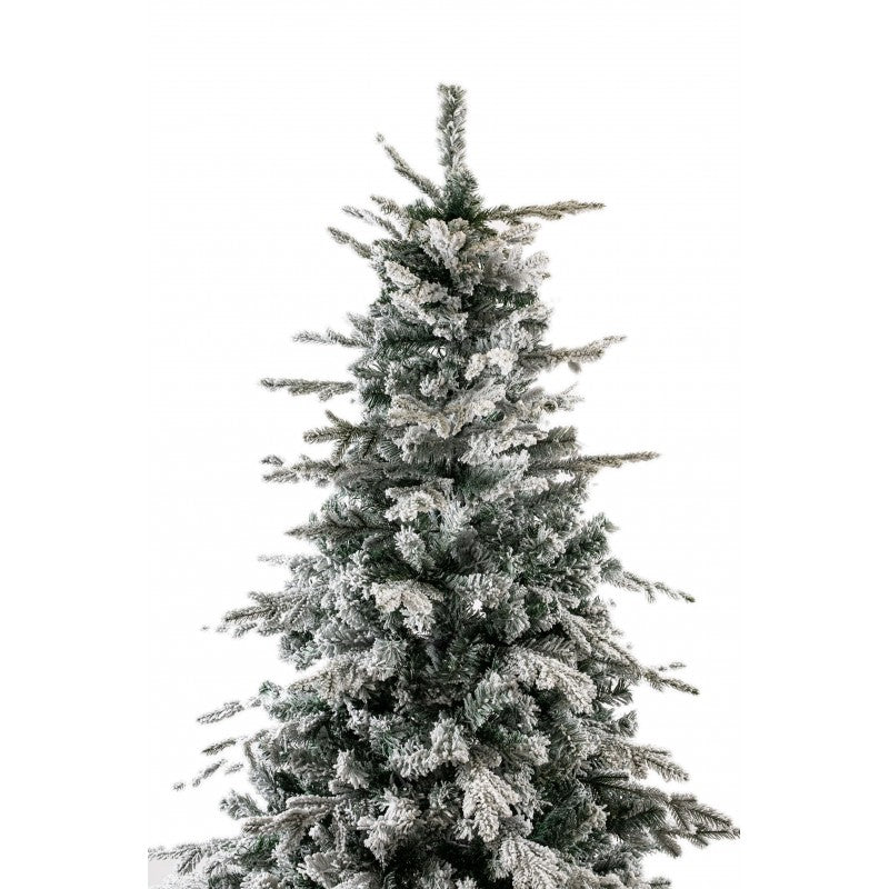 Albero di Natale innevato Alaska Xone con neve distribuita su tutti i rami – foto 2