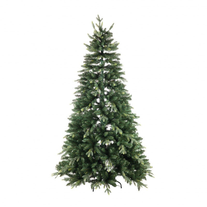 Albero di Natale Aspromonte tradizionale con chioma verde smeraldo