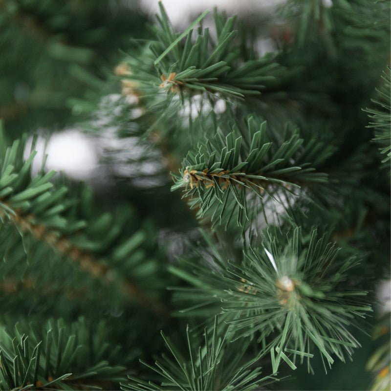 Albero di Natale Aspromonte tradizionale con chioma verde smeraldo – foto 3