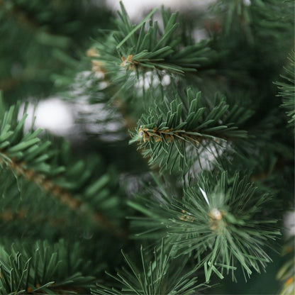 Albero di Natale Aspromonte tradizionale con chioma verde smeraldo – foto 3