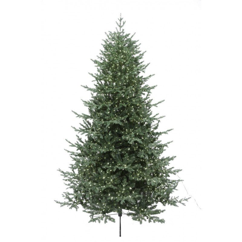 Albero di Natale Castore con luci LED integrate accese