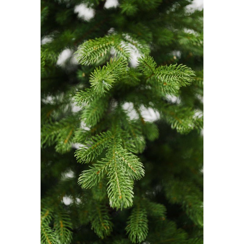 Albero di Natale Lagorai con chioma ampia e rami irregolari effetto pino – foto 3