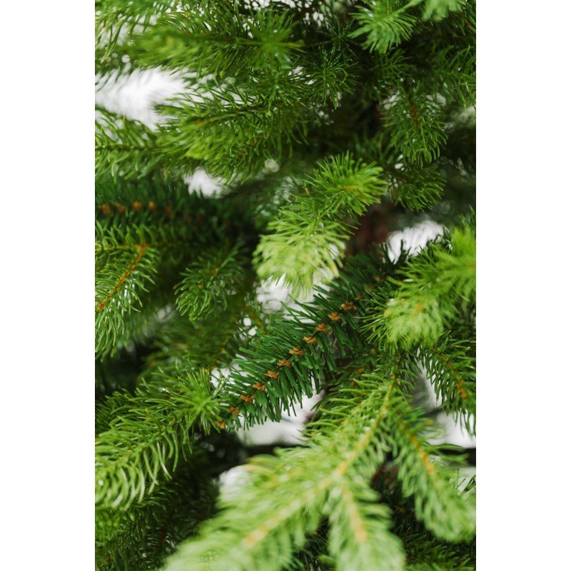 Albero di Natale Lagorai con chioma ampia e rami irregolari effetto pino – foto 7