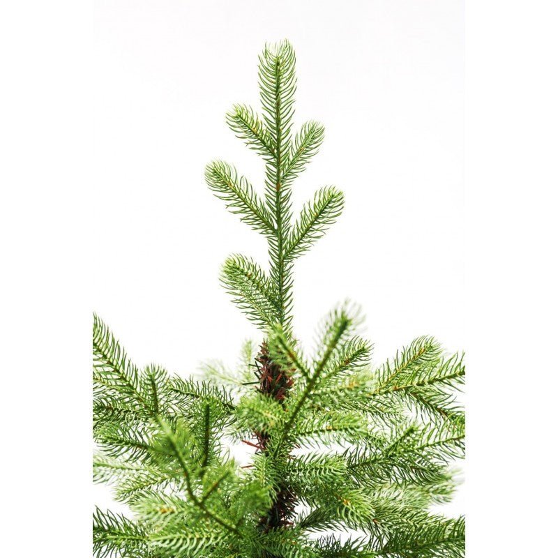 Albero di Natale Lagorai con chioma ampia e rami irregolari effetto pino – foto 4