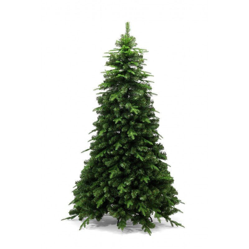Albero di Natale Amiata dalla forma conica con chioma folta