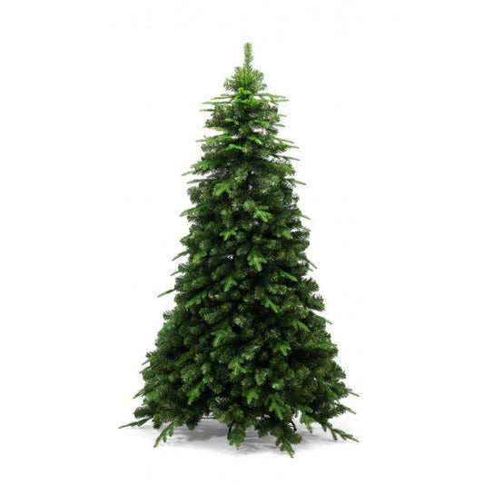 Albero di Natale Amiata dalla forma conica con chioma folta