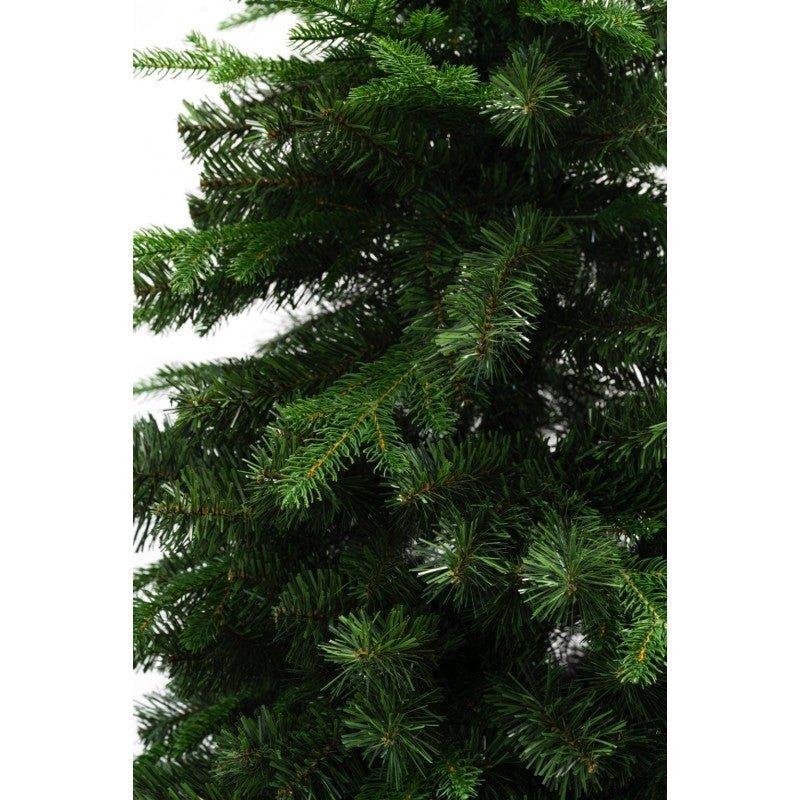 Albero di Natale Amiata dalla forma conica con chioma folta – foto 4