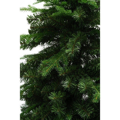 Albero di Natale Amiata dalla forma conica con chioma folta – foto 4
