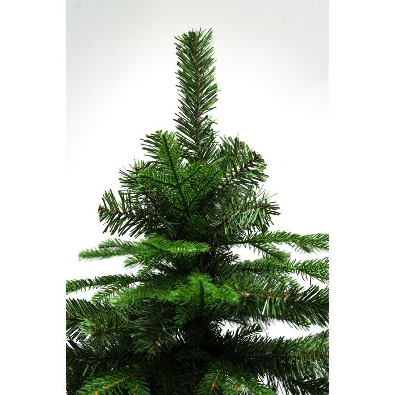 Albero di Natale Amiata dalla forma conica con chioma folta – foto 3