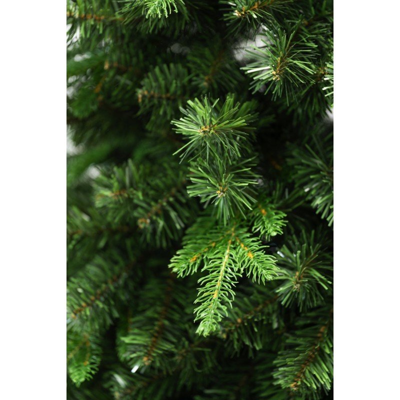 Albero di Natale Amiata dalla forma conica con chioma folta – foto 6