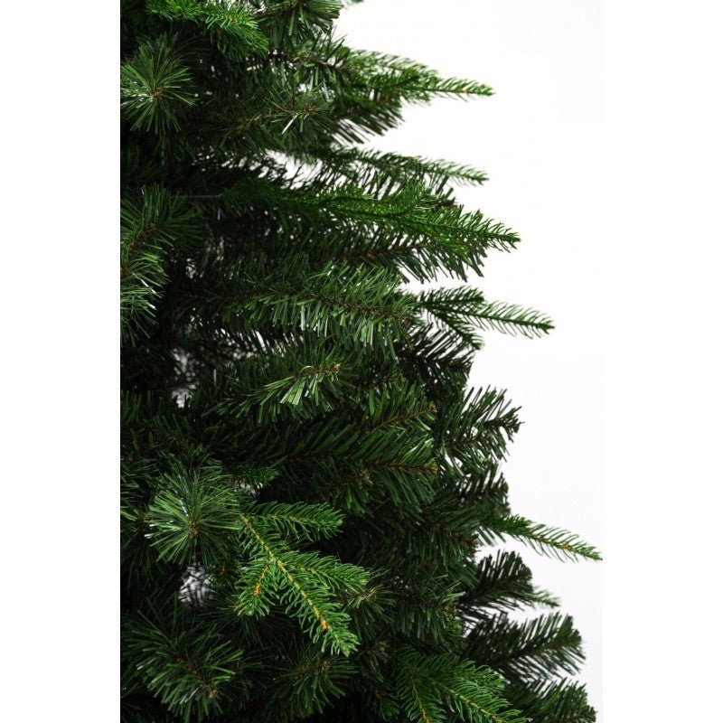 Albero di Natale Amiata dalla forma conica con chioma folta – foto 5