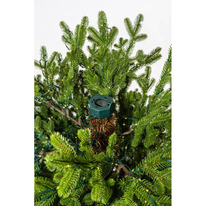 Albero di Natale Maia 225 cm con mini LED integrati – foto 9