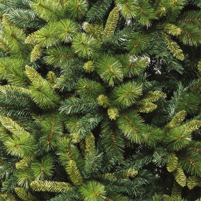 Albero di Natale Aveto in stile americano con chioma folta a tre tipi di rami – foto 2