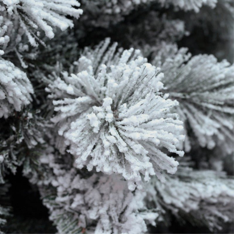 Albero di Natale innevato Milton Xone con chioma foltissima coperta di neve bianca – foto 2