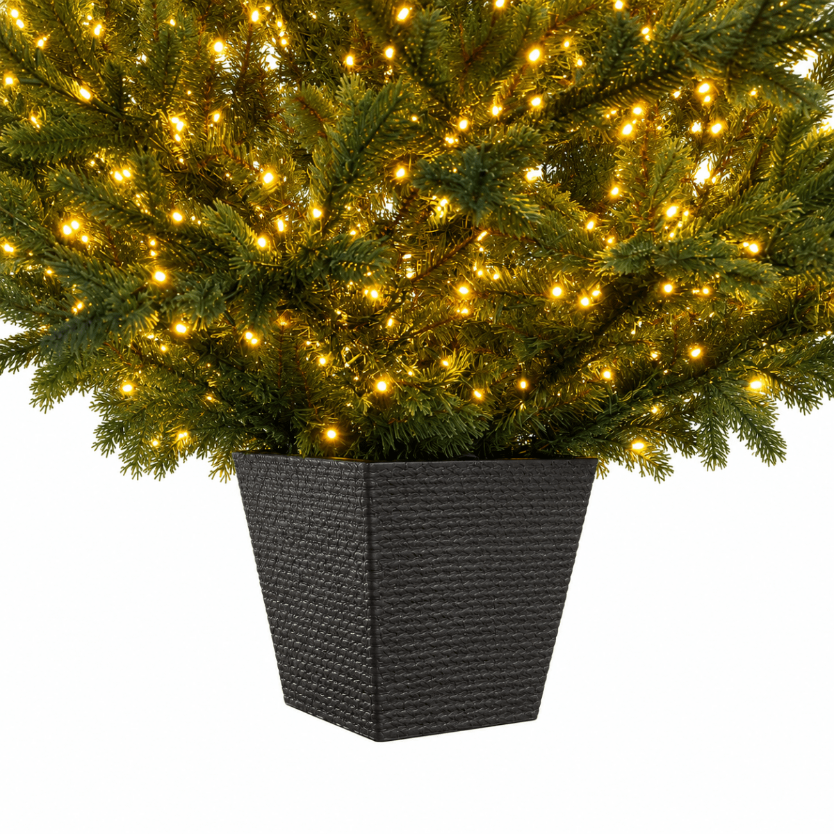 Albero di Natale Regolo con LED integrati accesi e vaso quadrato – foto 3